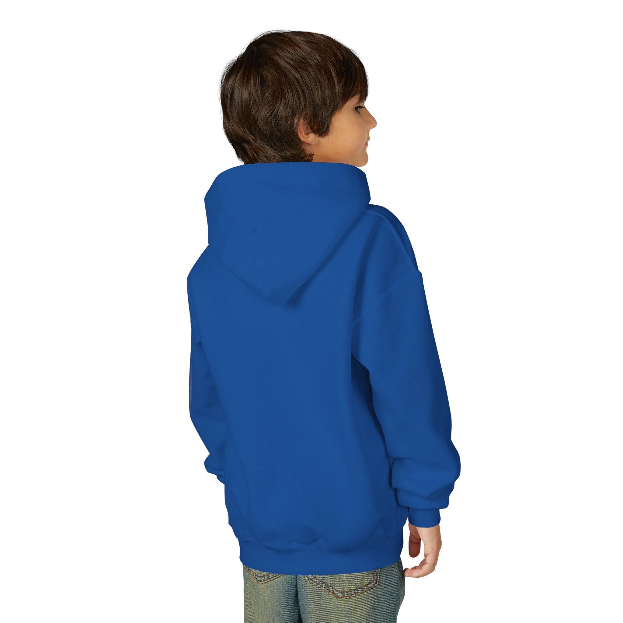 TBLL SZN Youth Hoodie (blue)