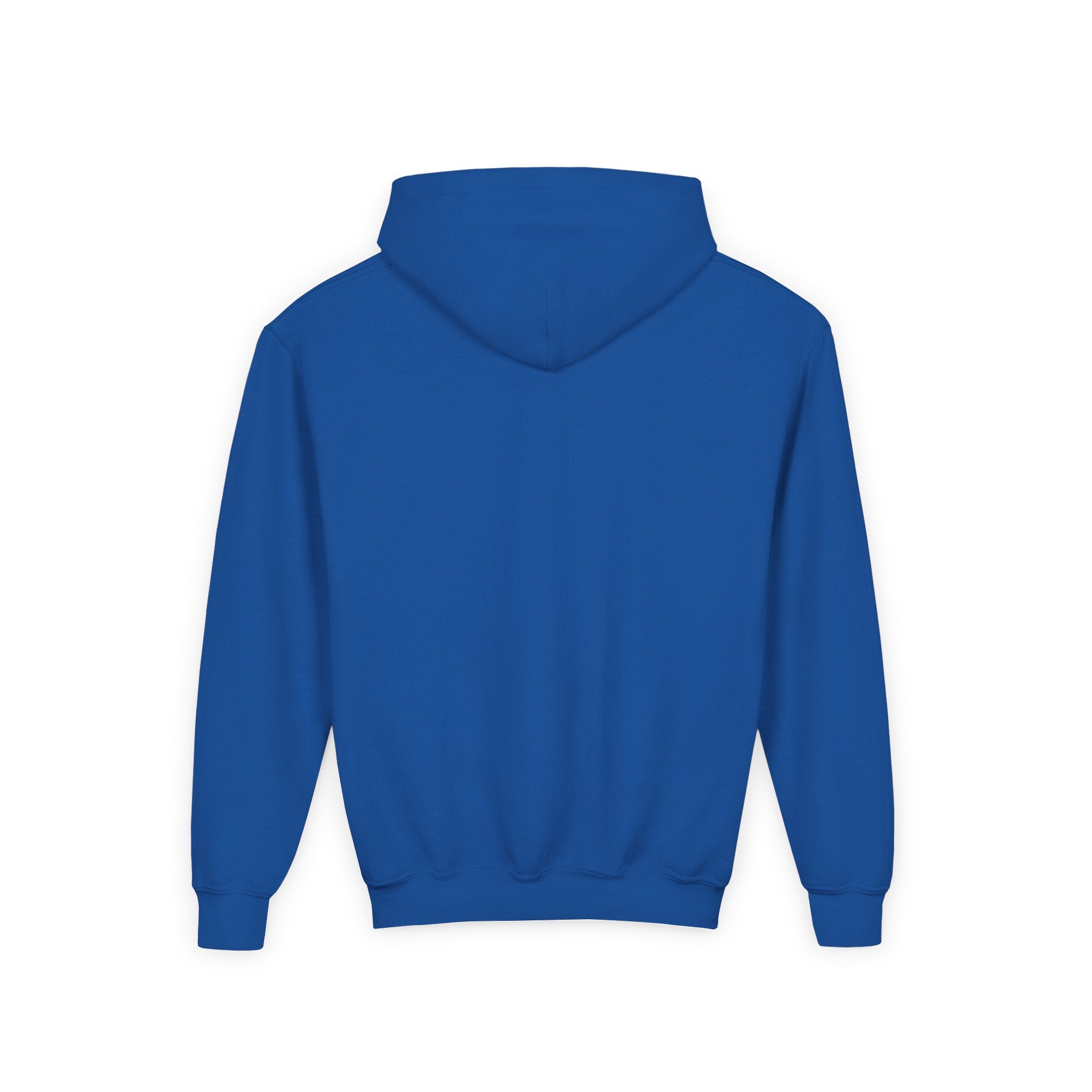 TBLL SZN Youth Hoodie (blue)