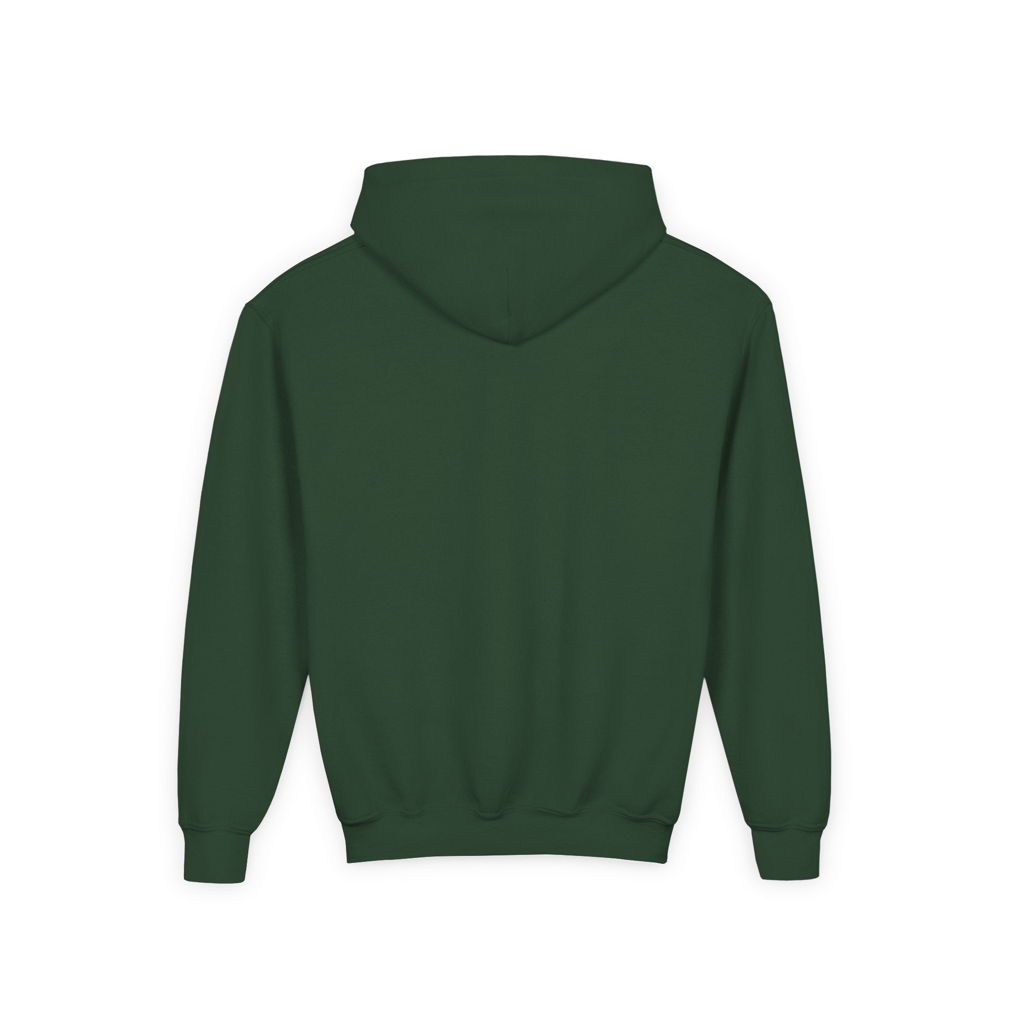 TBLL SZN Youth Hoodie (green)