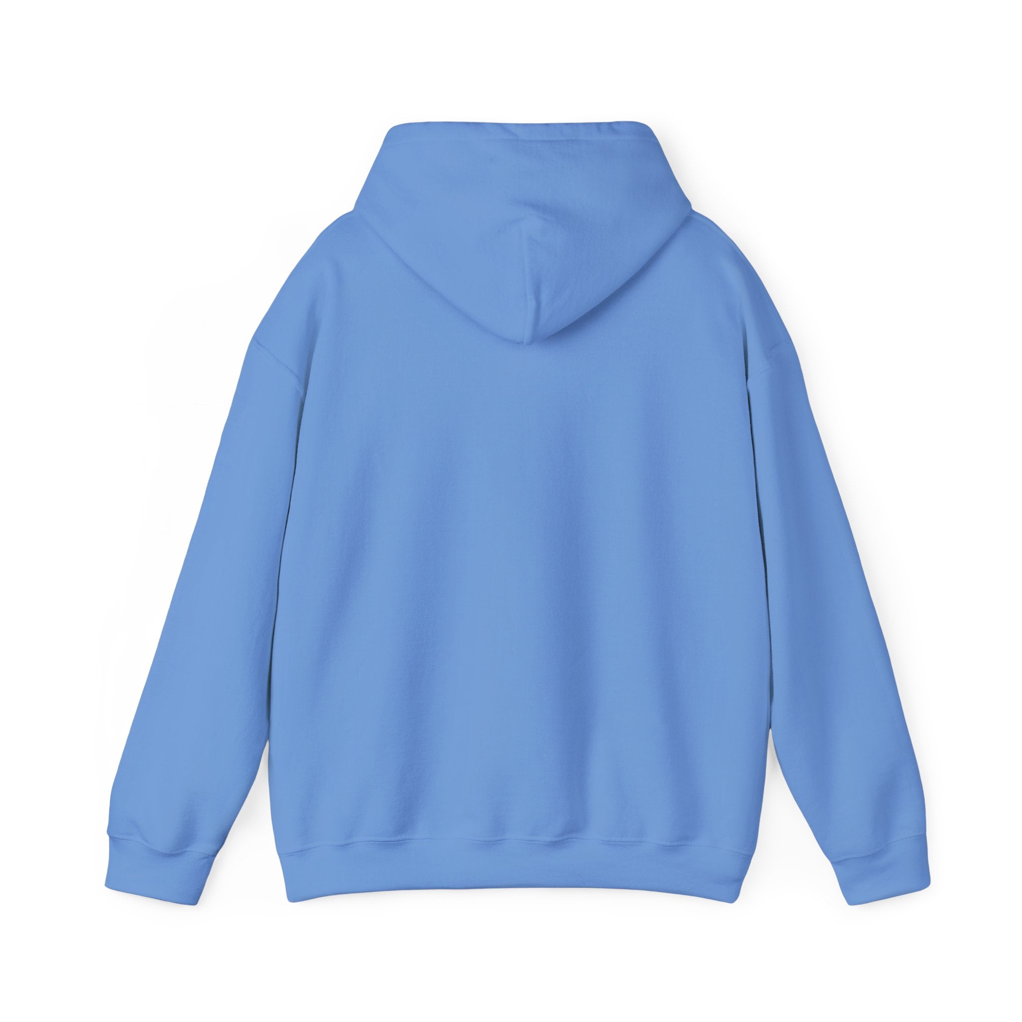 BSBL SZN Hoodie (blue)